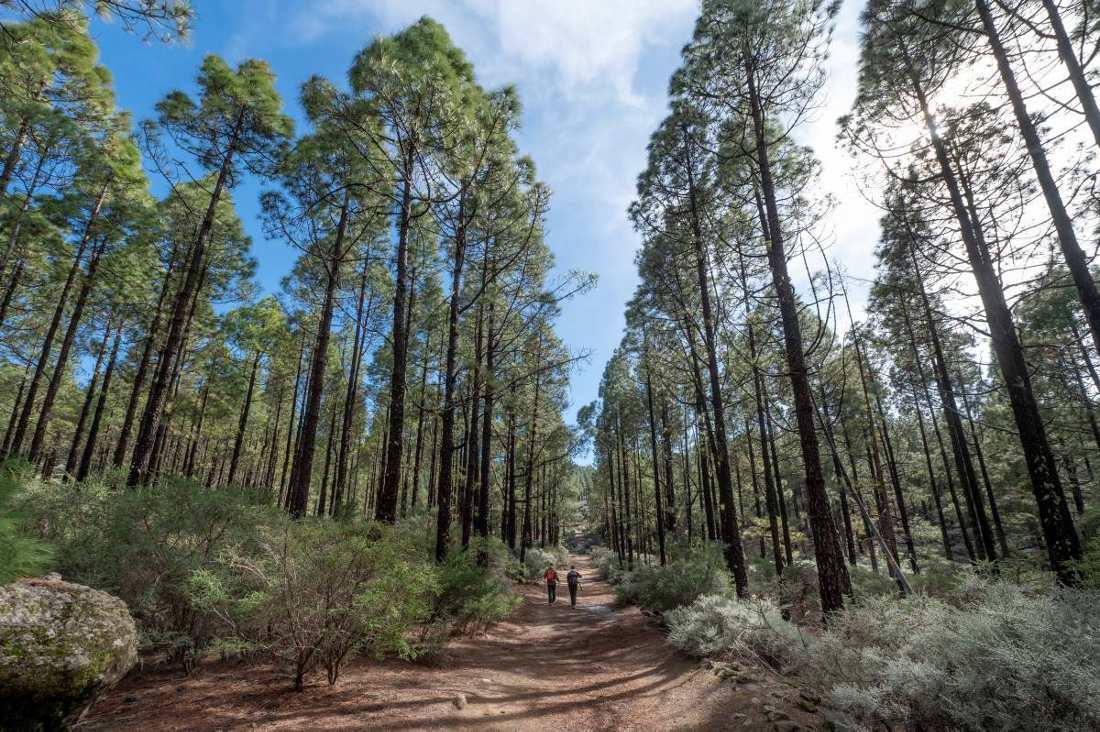 Gran Canaria Cammino di Santiago