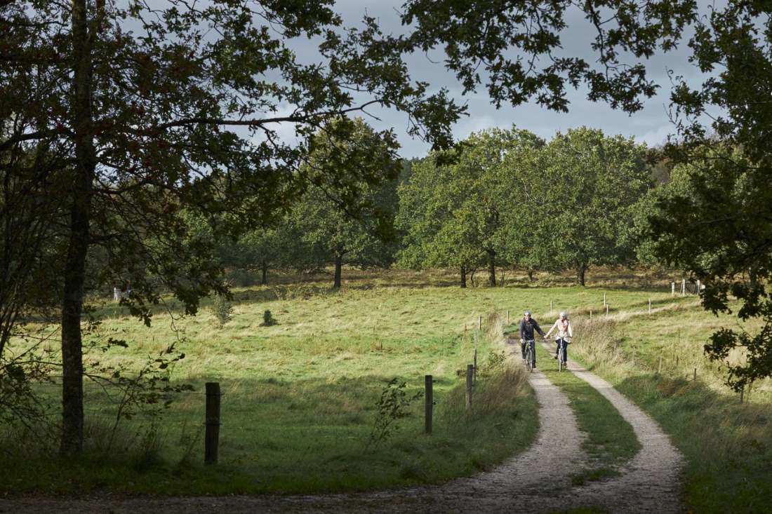 Boschi lungo la Ancient Road, Danimarca ©Kenneth Stjernegaard_VisitVejle