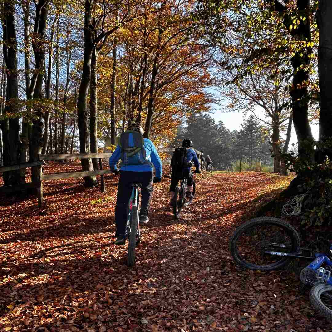 cammino santuari del mare